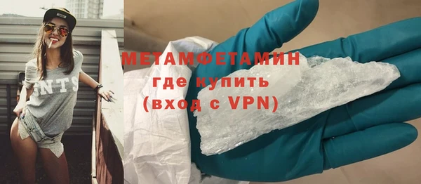 прущие грибы Новозыбков