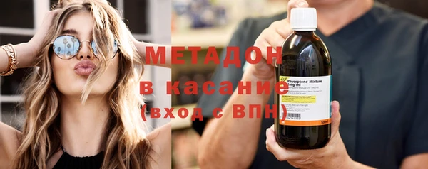 прущие грибы Новозыбков