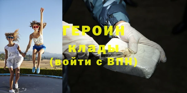 прущие грибы Новозыбков