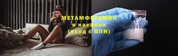 прущие грибы Новозыбков