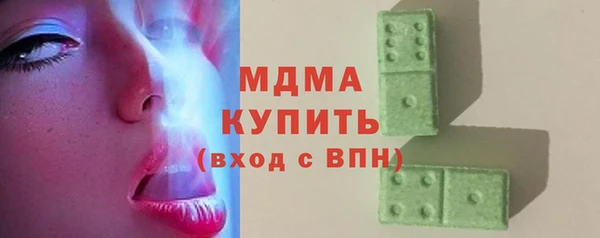 прущие грибы Новозыбков
