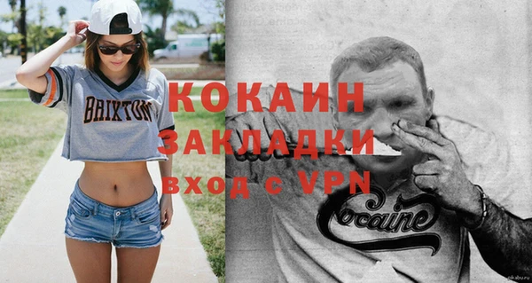 прущие грибы Новозыбков