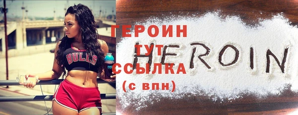 прущие грибы Новозыбков