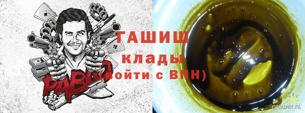 прущие грибы Новозыбков