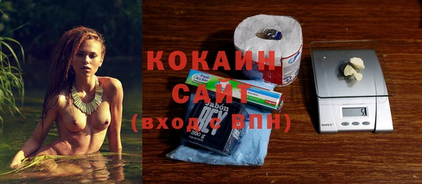 прущие грибы Новозыбков