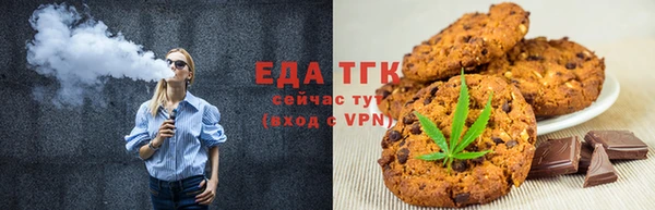 прущие грибы Новозыбков