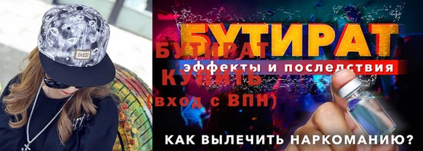 прущие грибы Новозыбков