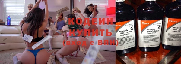 прущие грибы Новозыбков