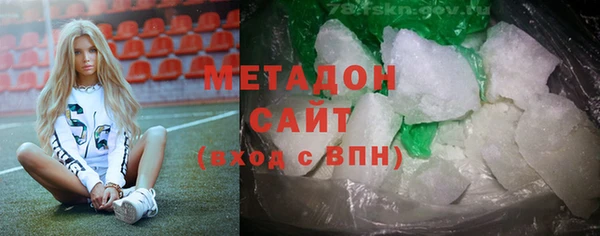 прущие грибы Новозыбков