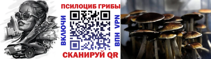 Купить закладки  Саров  Галлюциногенные грибы мицелий 